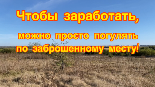 Чтобы заработать, достаточно просто погулять по заброшенному месту. Мои находки