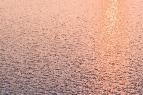    Фото: mrsiraphol/Freepik