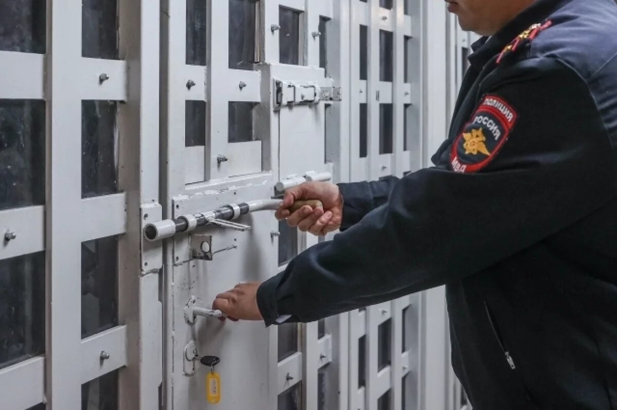    В Пулково задержали мужчину, похитившего ребенка семь лет назад