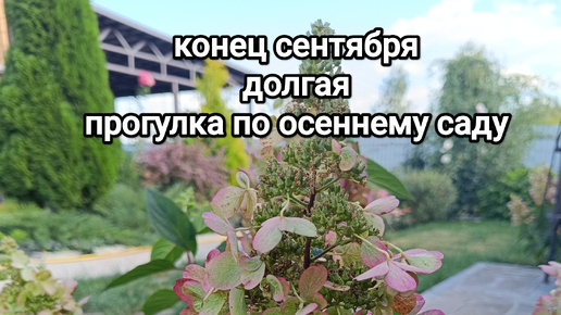 Download Video: Конец сентября/ В САДУ ОСЕНЬ🍂/ что сделано за лето/ НЕБОЛЬШИЕ итоги в БОЛЬШОЙ прогулке