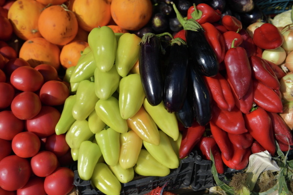 Фото: РИА Новости/Павел Лисицын