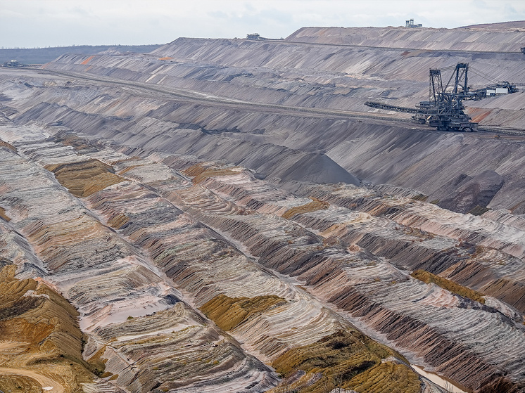     Фото: ru.freepik.com