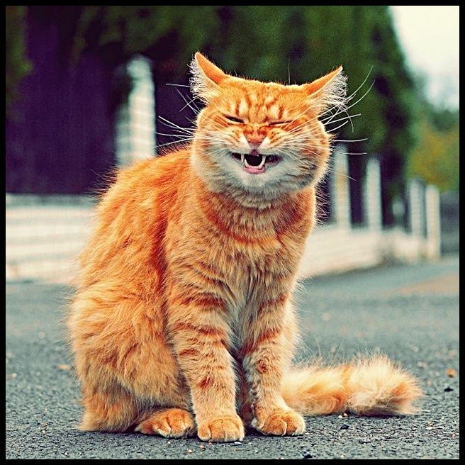 Денег хотите? Ну-ну!