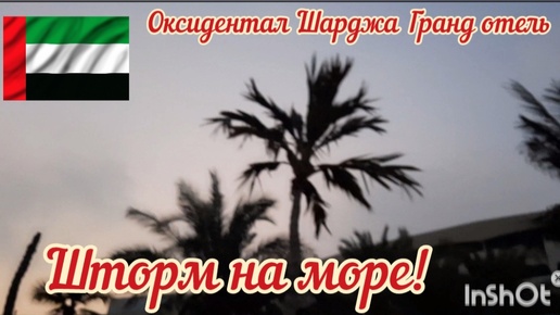 Отдых в ОАЭ - 2024 / Шторм на море. Спасают джакузи и бассейн. Обзор ресепшена отеля Оксидентал Шарджа Гранд.