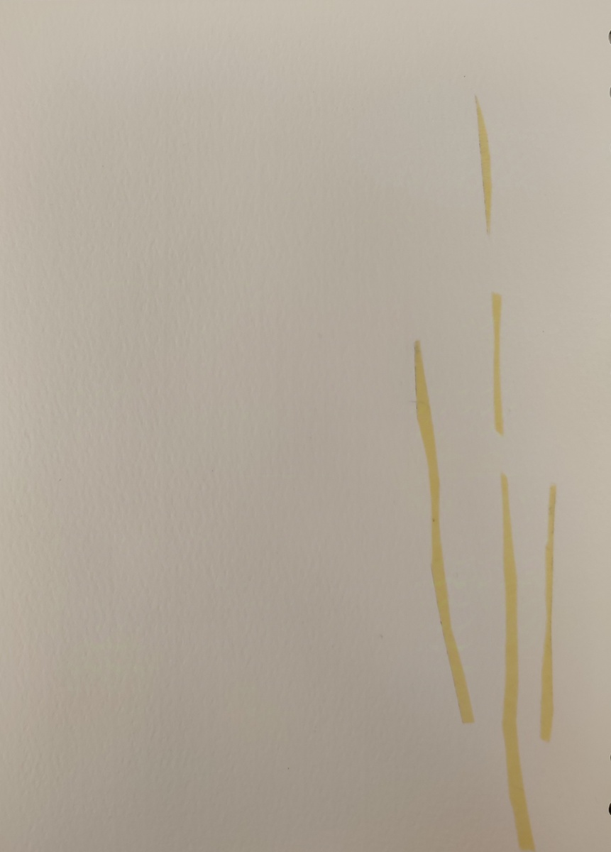 Наклеила полосочки вырезанного по форме стволов скотча