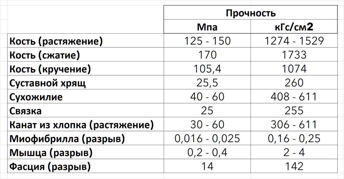 Прочность нашего тела