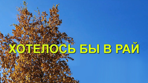 ХОТЕЛОСЬ БЫ В РАЙ. Авторская песня. Владимир Гирченко