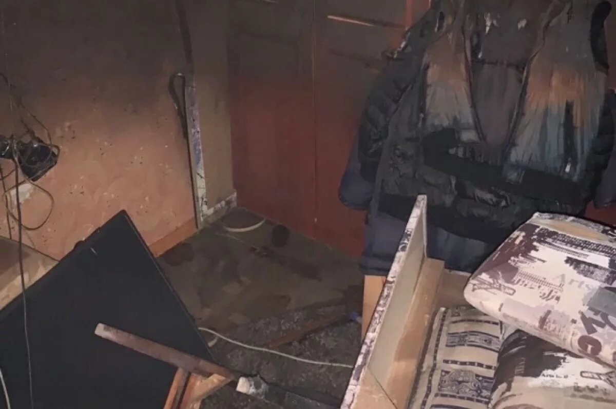    Причиной пожара под Пензой могло стать неосторожное обращение с огнем