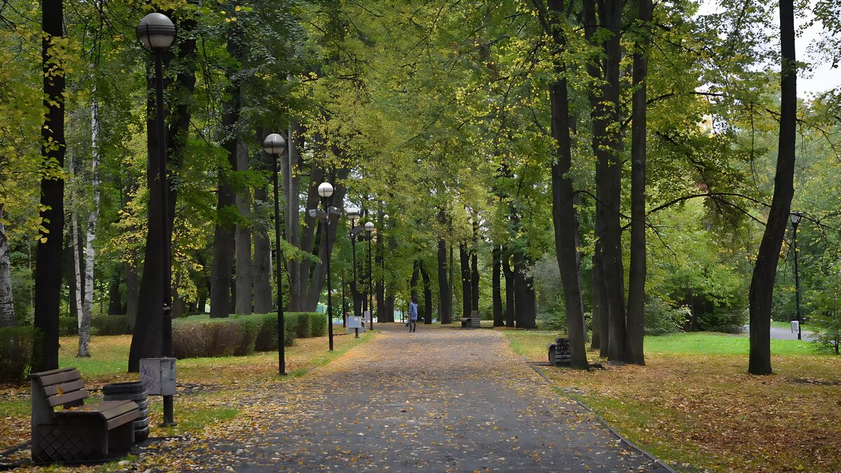     Источник: 1MI