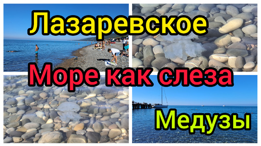 Лазаревское 27.09.2024/ Море 🌊 штиль/ медузы.