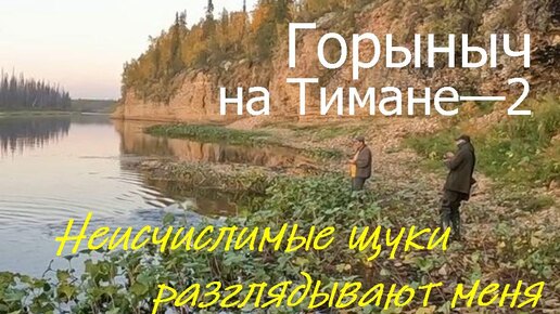 Экспедиция на Тиман (ч2). Тащу одну - подходят две щуки! ТАКОЙ рыбалки не мог вообразить!