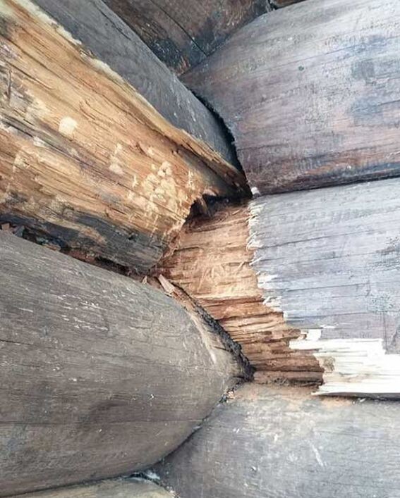 Вот такое оно, дышащее дерево, если его хорошо не отапливать изнутри