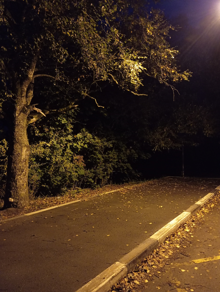 Утром на остановке. 