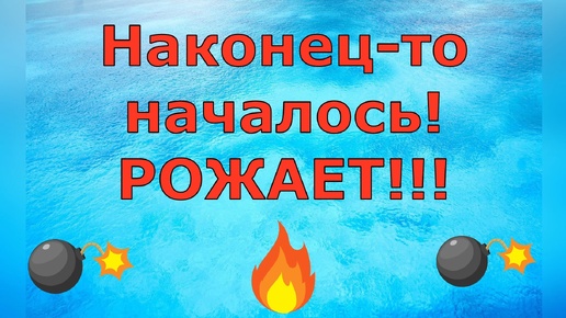 Деревенский дневник очень многодетной мамы \ Наконец-то началось! РОЖАЕТ!!! \ Обзор