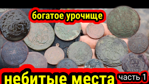 Tải video: Богатое урочище, небитые места