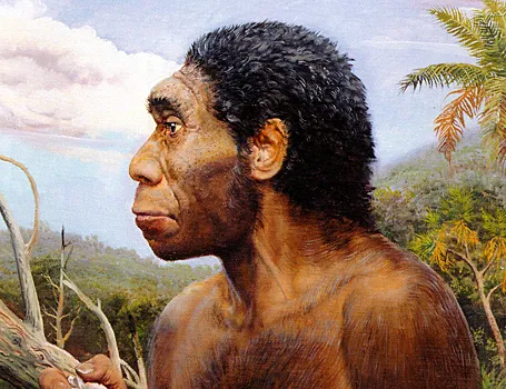 Ранние Эректусы