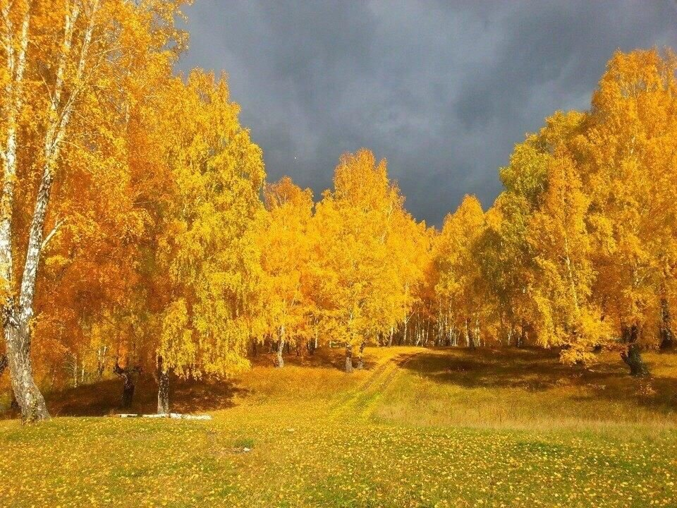 До этого у нас ещё очень далеко