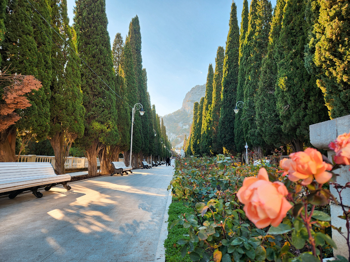 Симеизская аллея