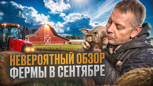 Download Video: Сентябрь на ферме: от гусей до... баранов? Удивительный обзор 🤯🐐🦆#МоеПодворье