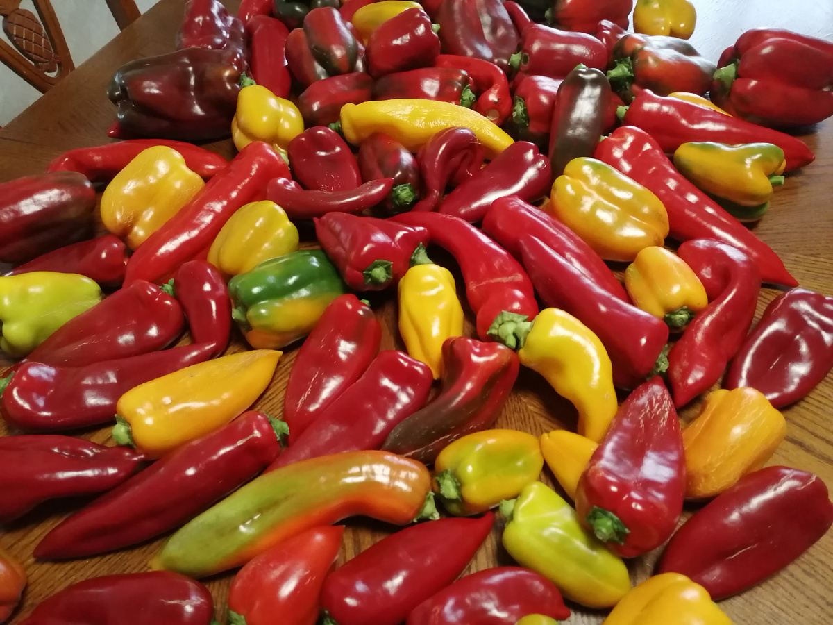 Разбираю корзину