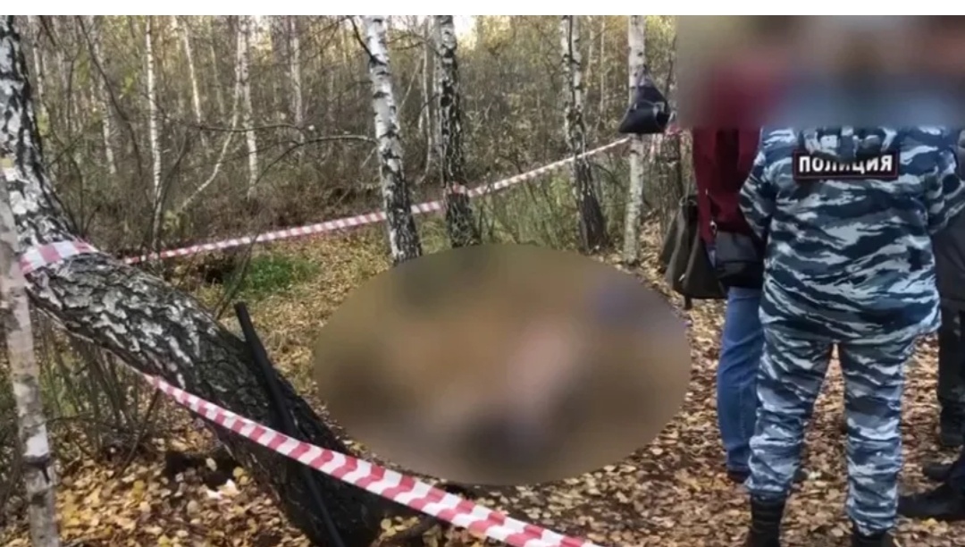 Картинка взята из Интернета 