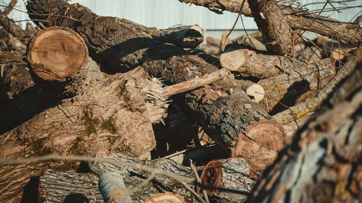     Источник: 1MI