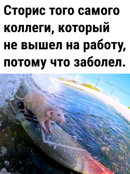Фото взято из интернета 