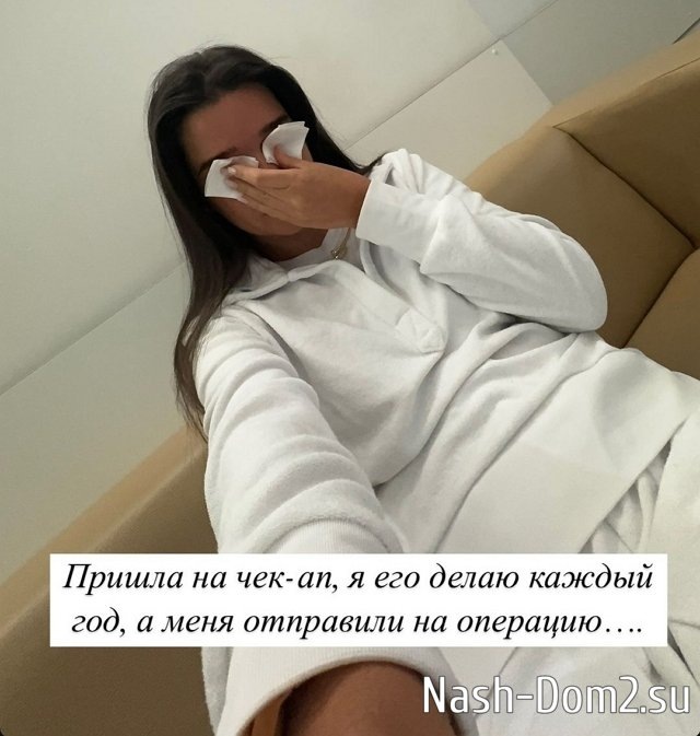 Собака как у бородиной