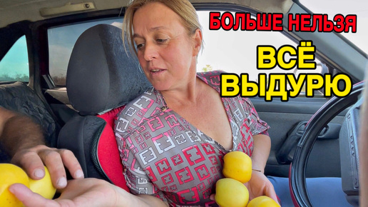 Приехали И ОБЛОМАЛИСЬ! ЕСЛИ ЗАХОЧУ – ВЫДУРЮ.