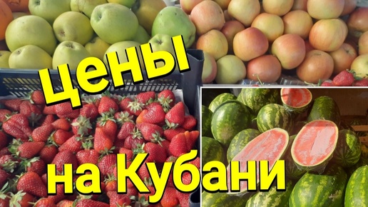 Цены на рынке Краснодара