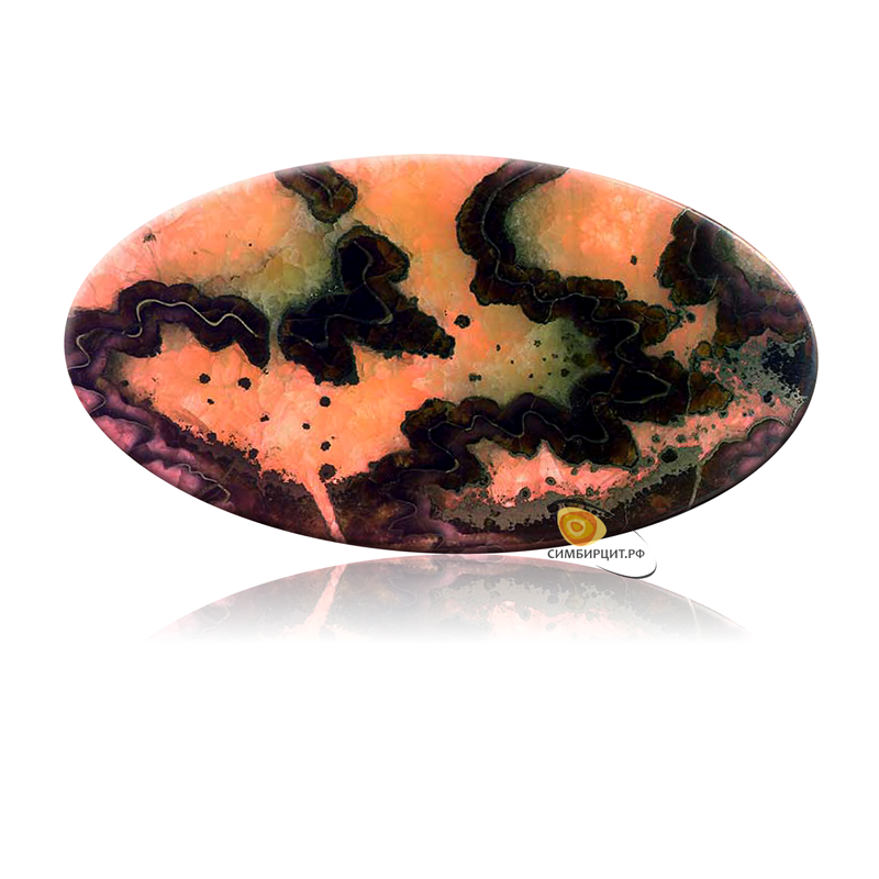 Аммонитовый симбирцит, кабошон.