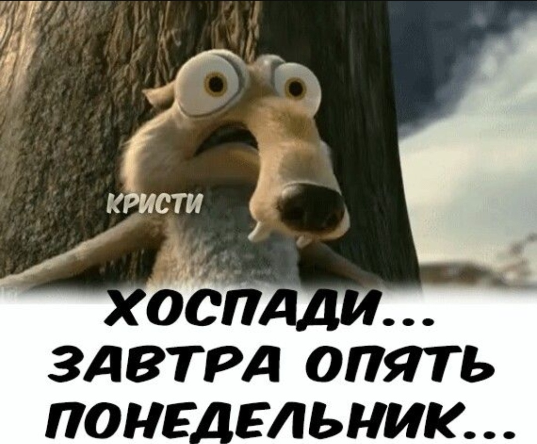 https://i.pinimg.com/736x/68/78/31/687831fb4ec8a48e1e0cbe970592bad7.jpg