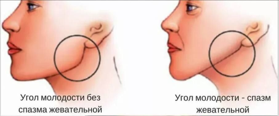*иллюстрация взята из интернет-источника