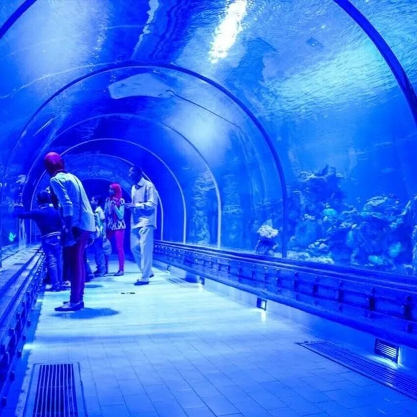 Гранд Аквариум в Хургаде – Grand aquarium
