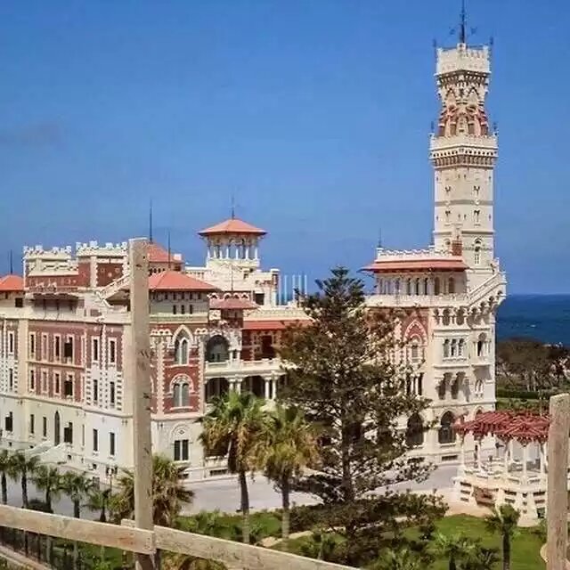 Александрия и каир на 2 дня – на автобусе из хургады
