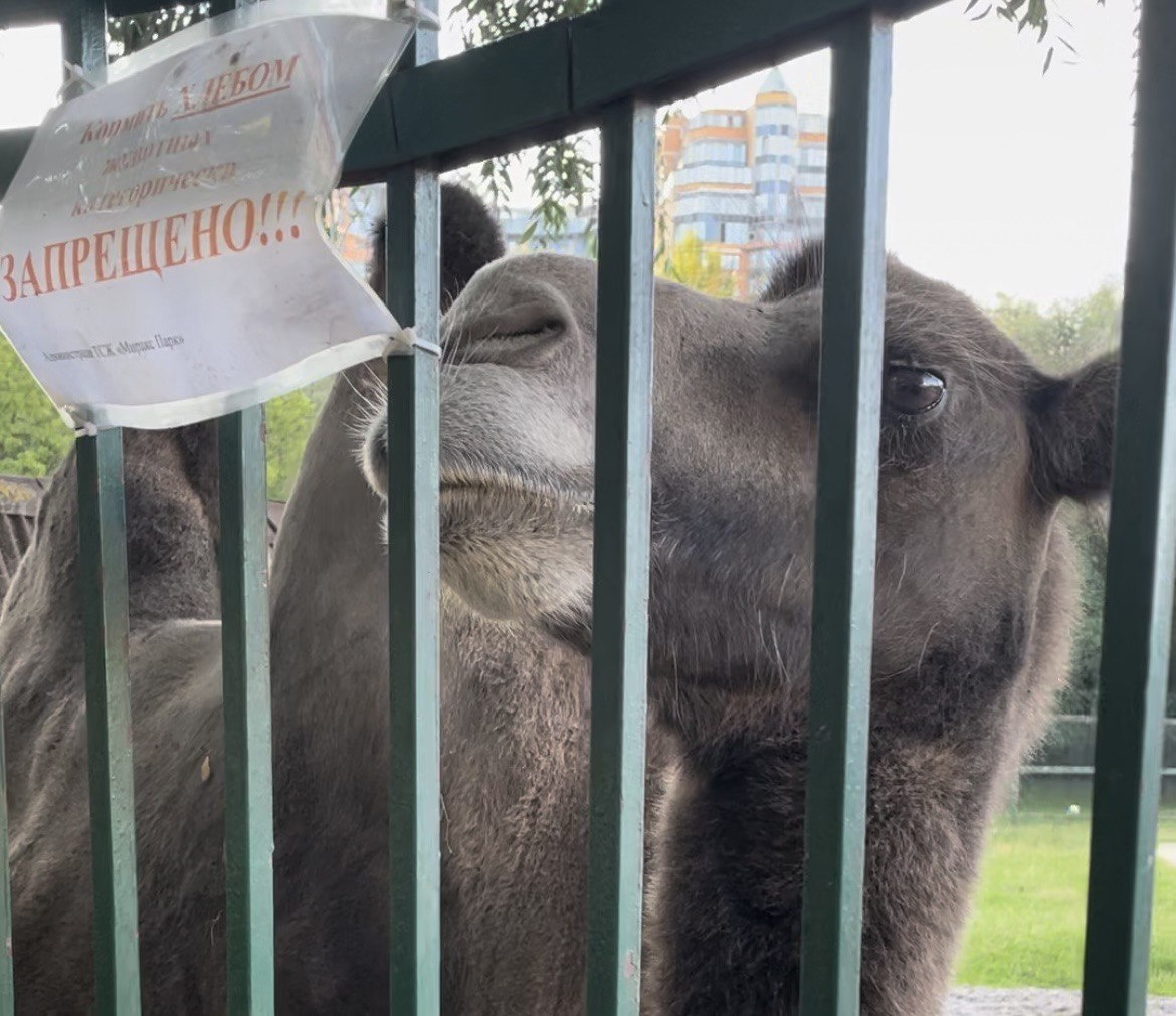 Вот оно - лицо престижного юго-запада столицы. Оно как бы говорит: можем себе позволить!
