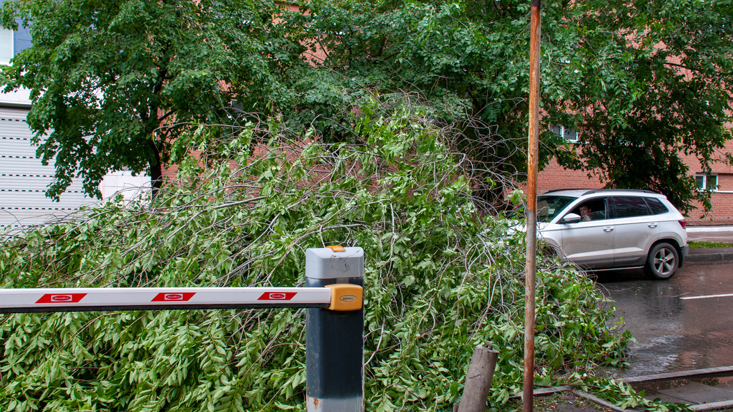    Фото: Svetlana Vozmilova/Globallookpress