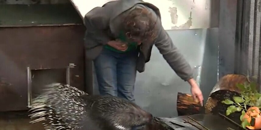    скриншот репортажа телеканала "Санкт-Петербург"