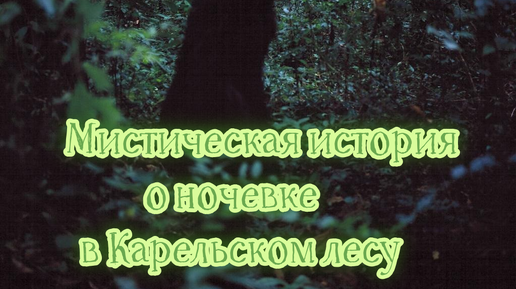 下载视频: Мистическая история ночевки в Карельском лесу