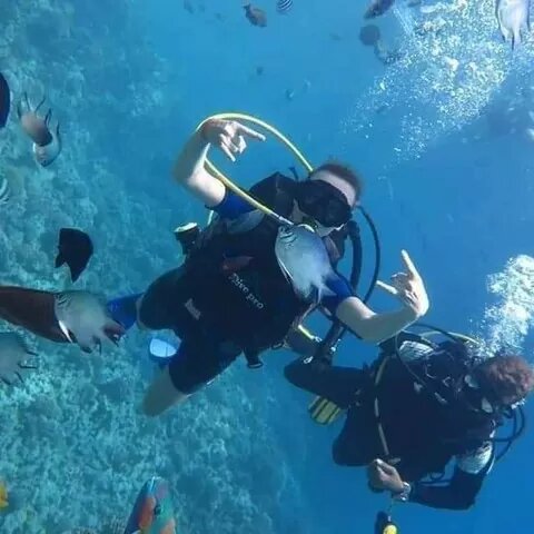 Дайвинг (2 погружения) – с профессинональным дайвером.
