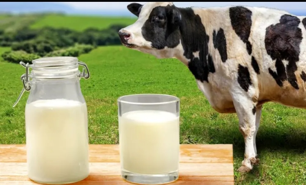 Картинка из интернета.