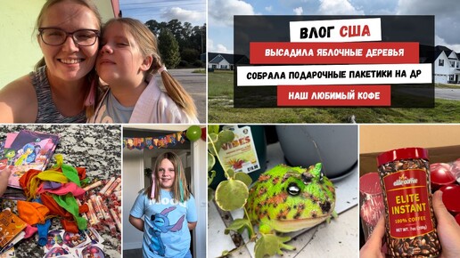 Высадила Яблочные Деревья | Собрала Подарочные Пакетики на ДР | Наш Любимый Кофе Наша Жизнь в Штатах