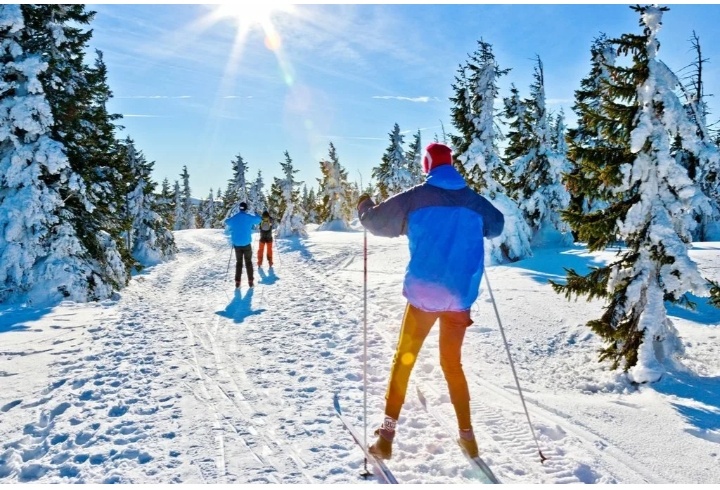 Источник фото : Pinterest.com