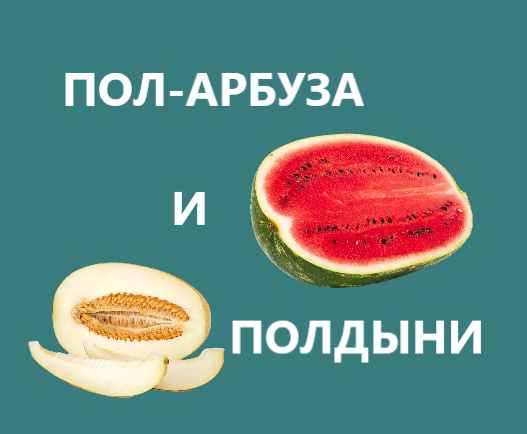 Статья о том, как правильно писать числительное "пол-" в сложных словах