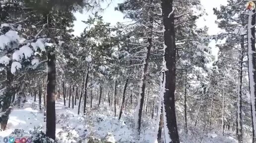 СБОРНИК КРАСИВОЙ СПОКОЙНОЙ МУЗЫКИ БЕЗ СЛОВ !!!Этот сборник помогает вспомнить о важном: о мире внутри нас, о любви и гармонии вокруг.