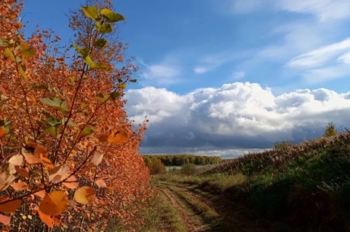    В основном сухо: какая погода будет в Хабаровском крае 29 сентября