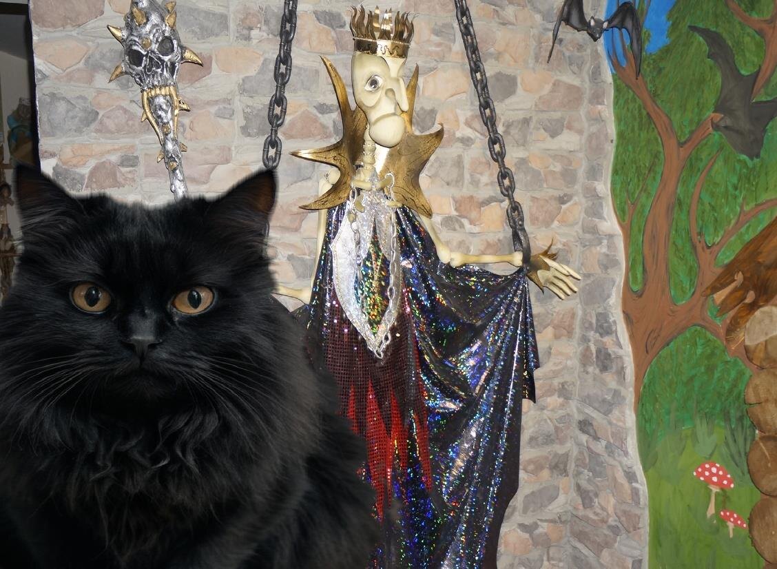 фото Кащей из личного архива автора. Баюн от нейросети. С фото котиков она справляется чудно 
