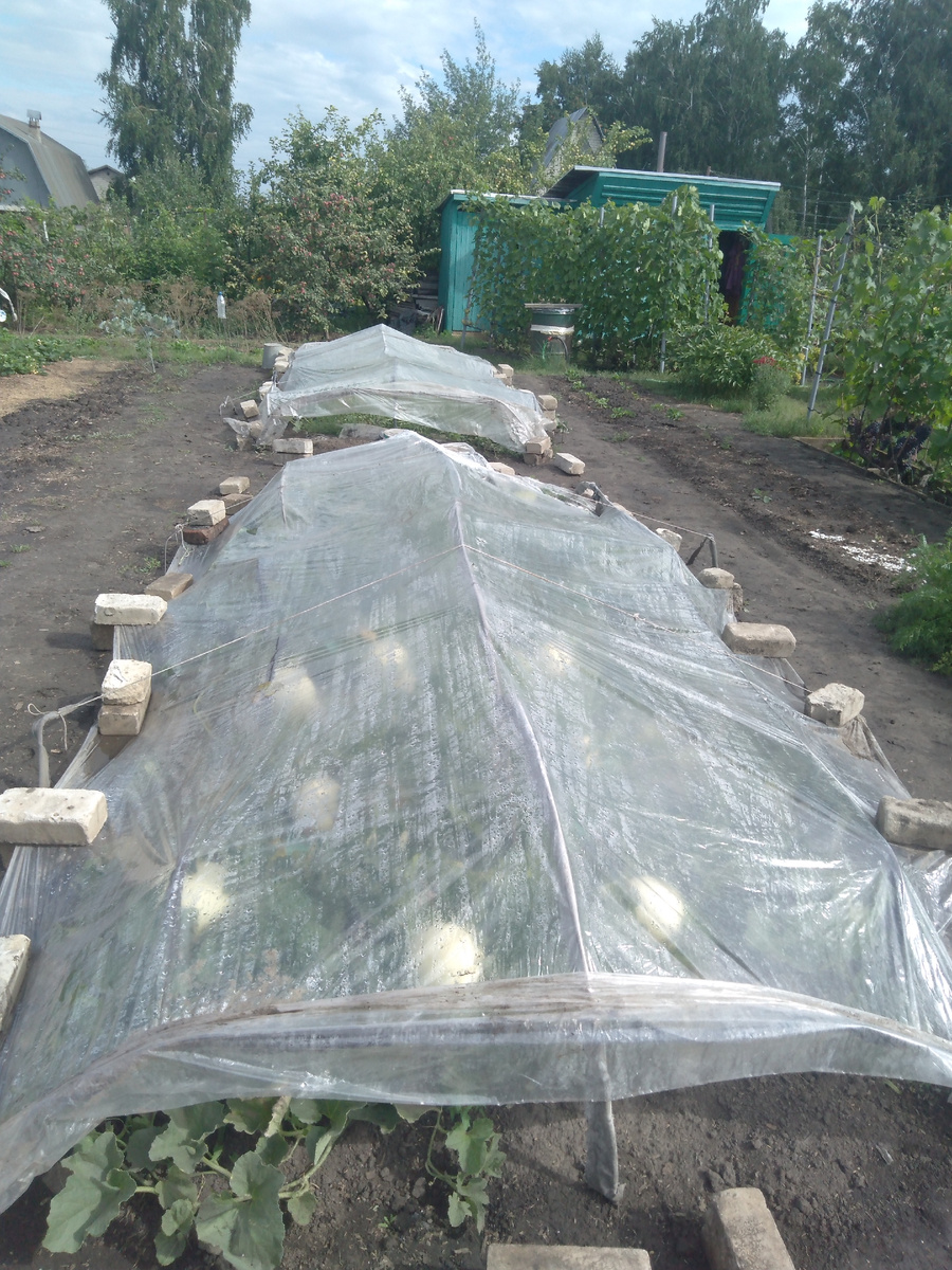 Вот так это выглядело.