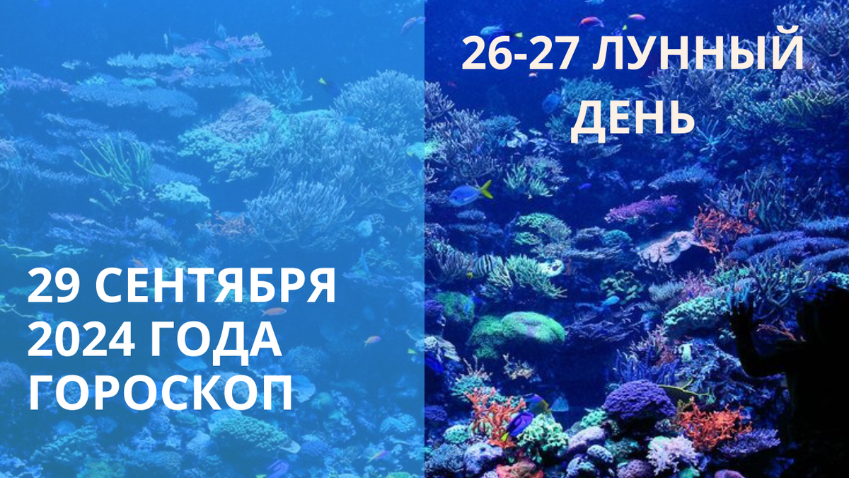 Атлантика. Коралловые рифы. Фото ru.pinterest.com