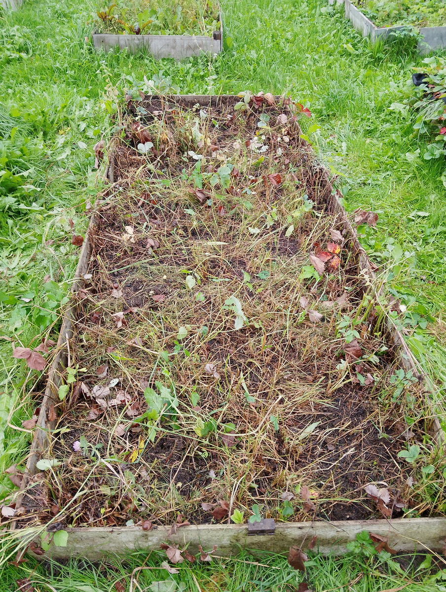 Процесс пошел